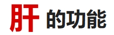 肝的功能